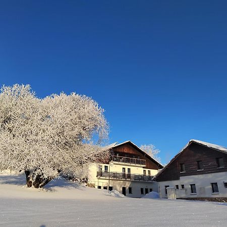 Penzion U Kovare - Vedlejsi Budova Novy Hradek エクステリア 写真