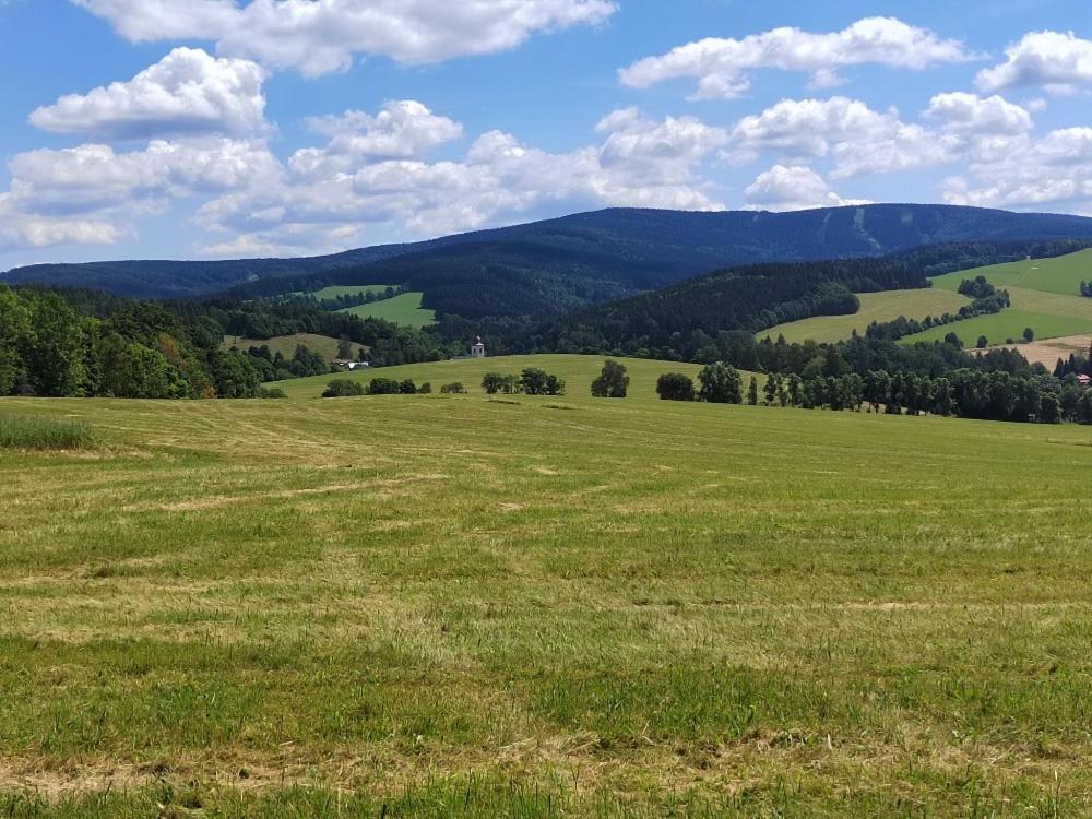 Penzion U Kovare - Vedlejsi Budova Novy Hradek エクステリア 写真