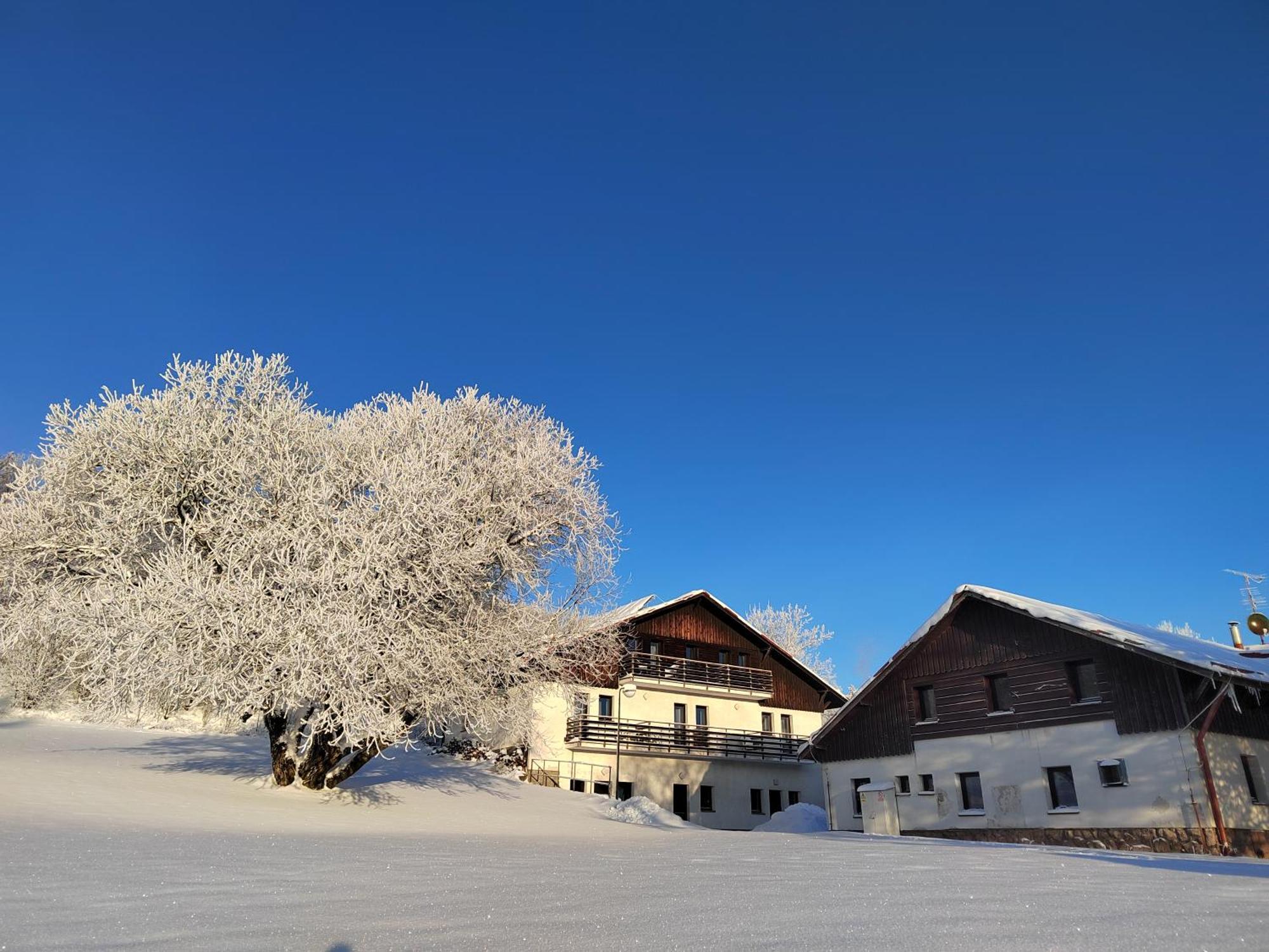 Penzion U Kovare - Vedlejsi Budova Novy Hradek エクステリア 写真