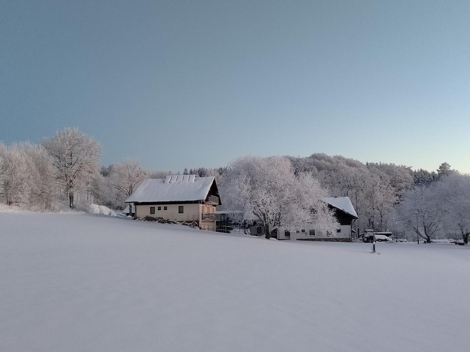 Penzion U Kovare - Vedlejsi Budova Novy Hradek エクステリア 写真